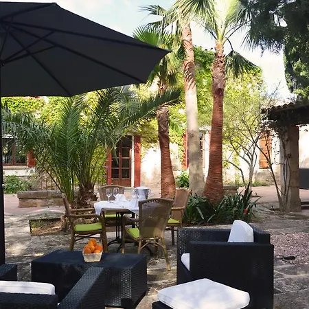 Finca Consinet