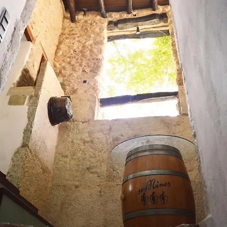 Finca Consinet 3*