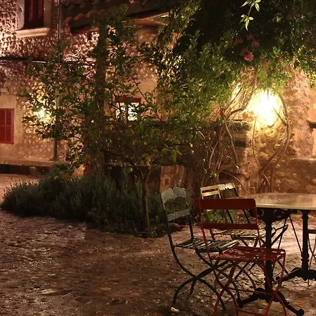 Finca Consinet