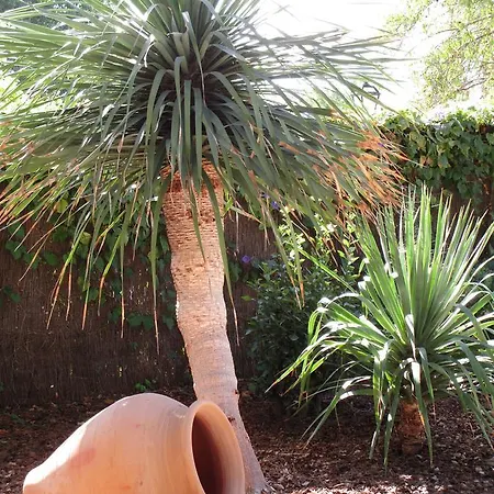 Hotel Finca Consinet 3*